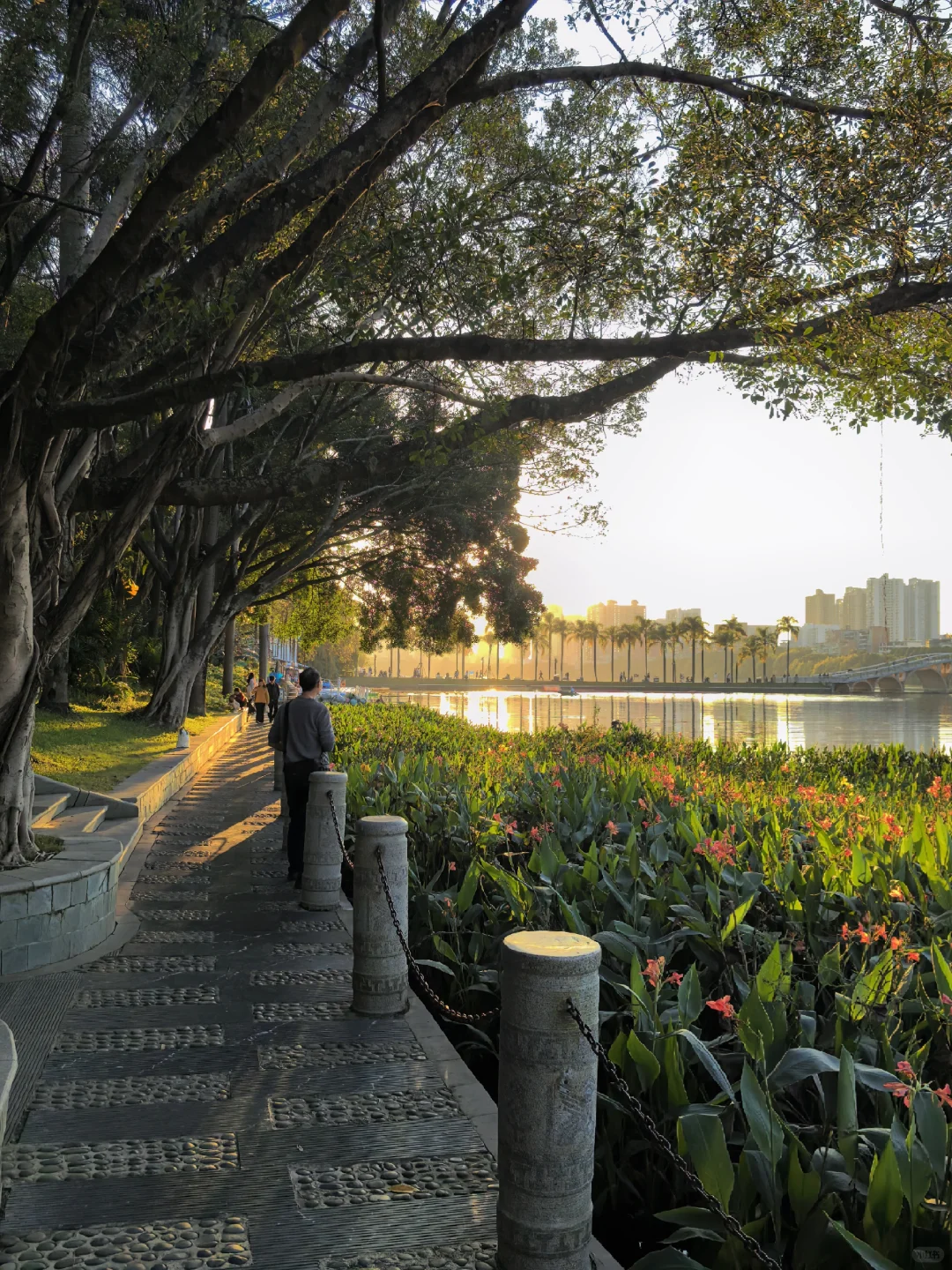 在南宁生活的人应该没什么烦恼吧