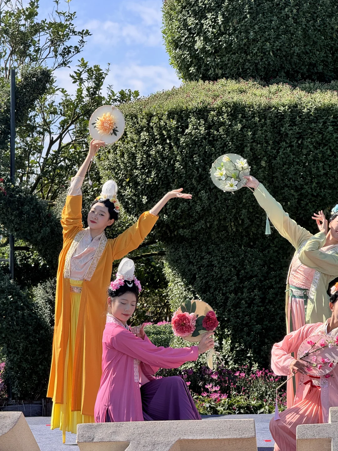 南宁菊花展！！第一梯队速报！！