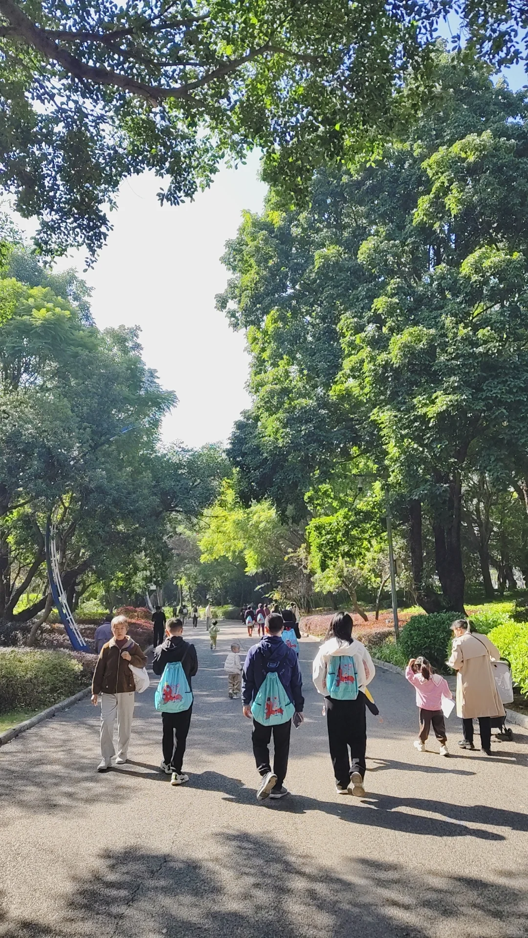 环柳州马鹿山健步行！🔥🔥🔥