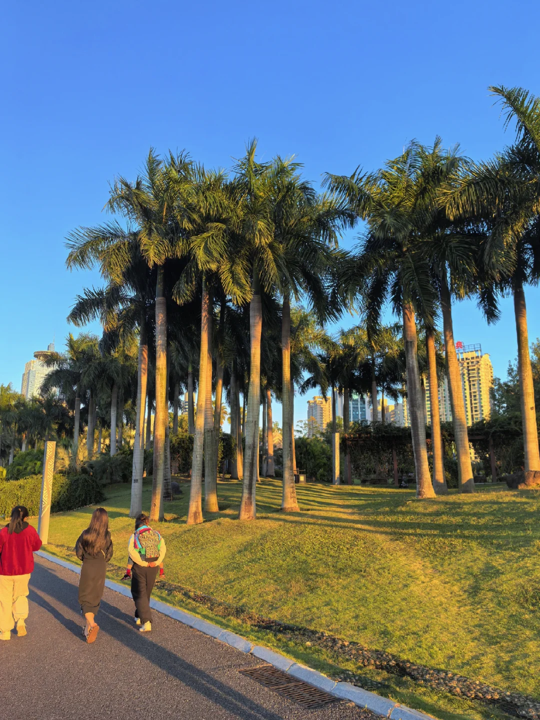 在南宁生活的人应该没什么烦恼吧