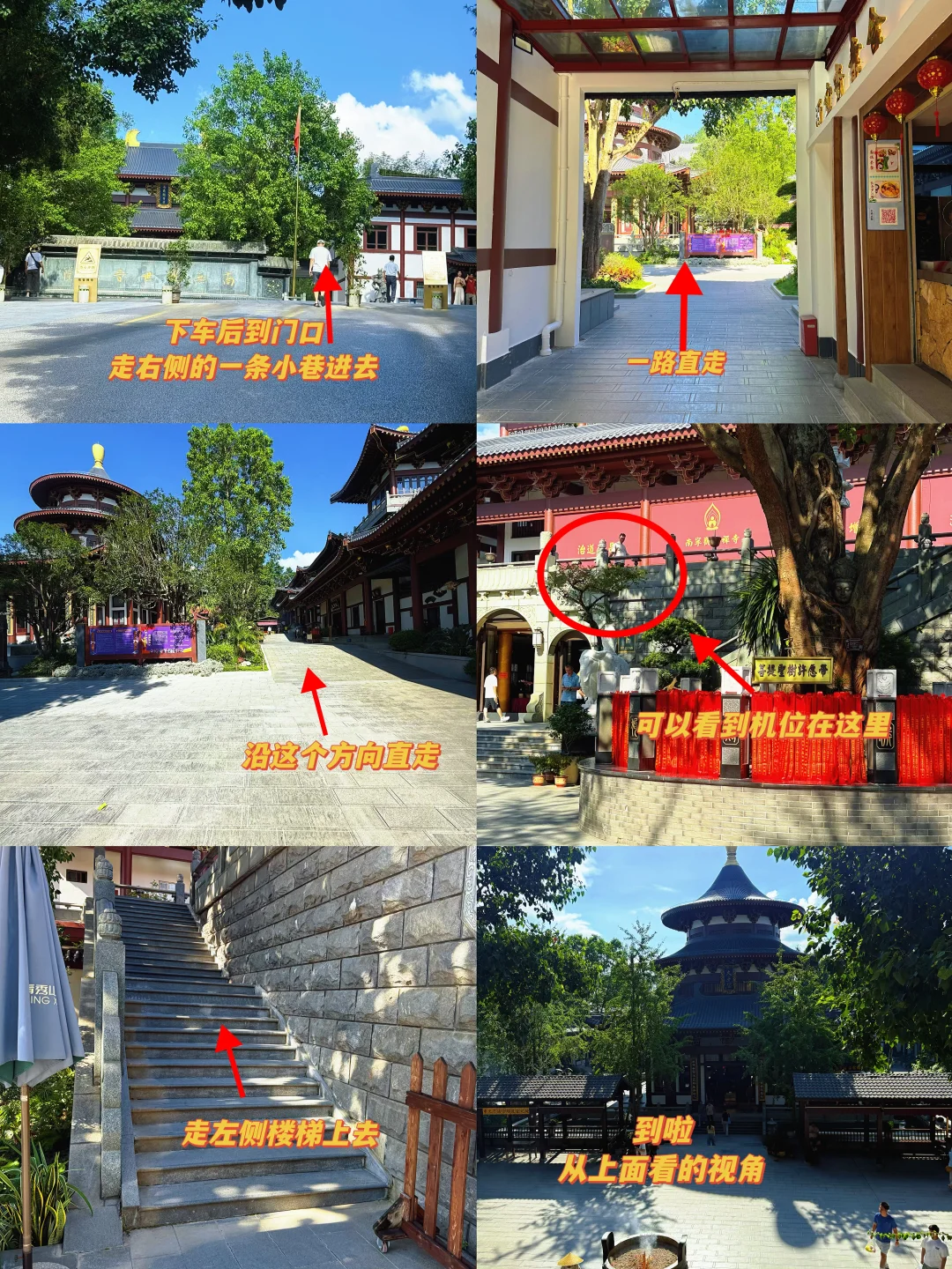 南宁青秀山4️⃣小时，不费脚！出片机位全攻略