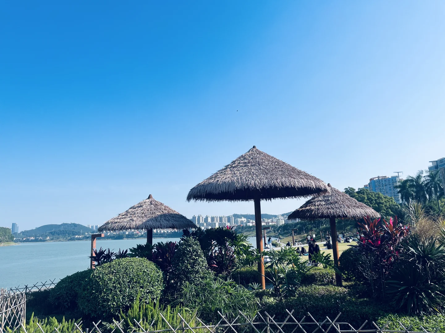 南宁冬天真的很惬意。