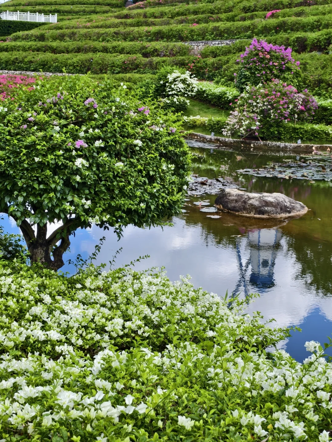 在南宁！我找到了宫崎骏的童话世界