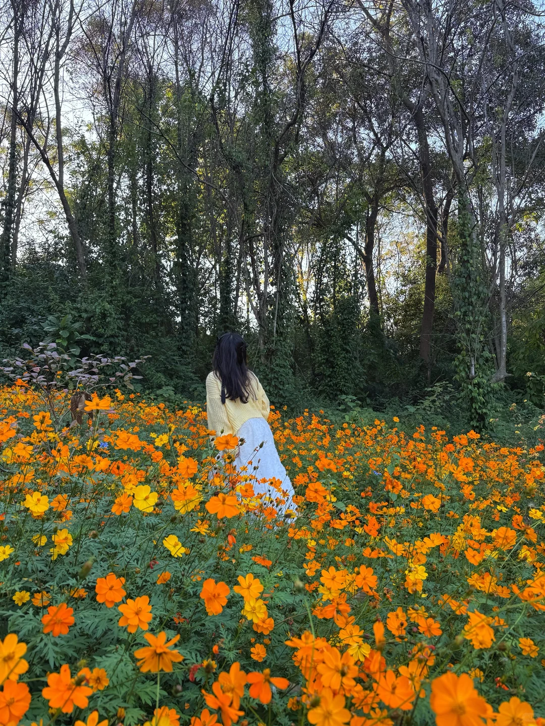 柳州｜漫花庄园太适合拍照📷了吧