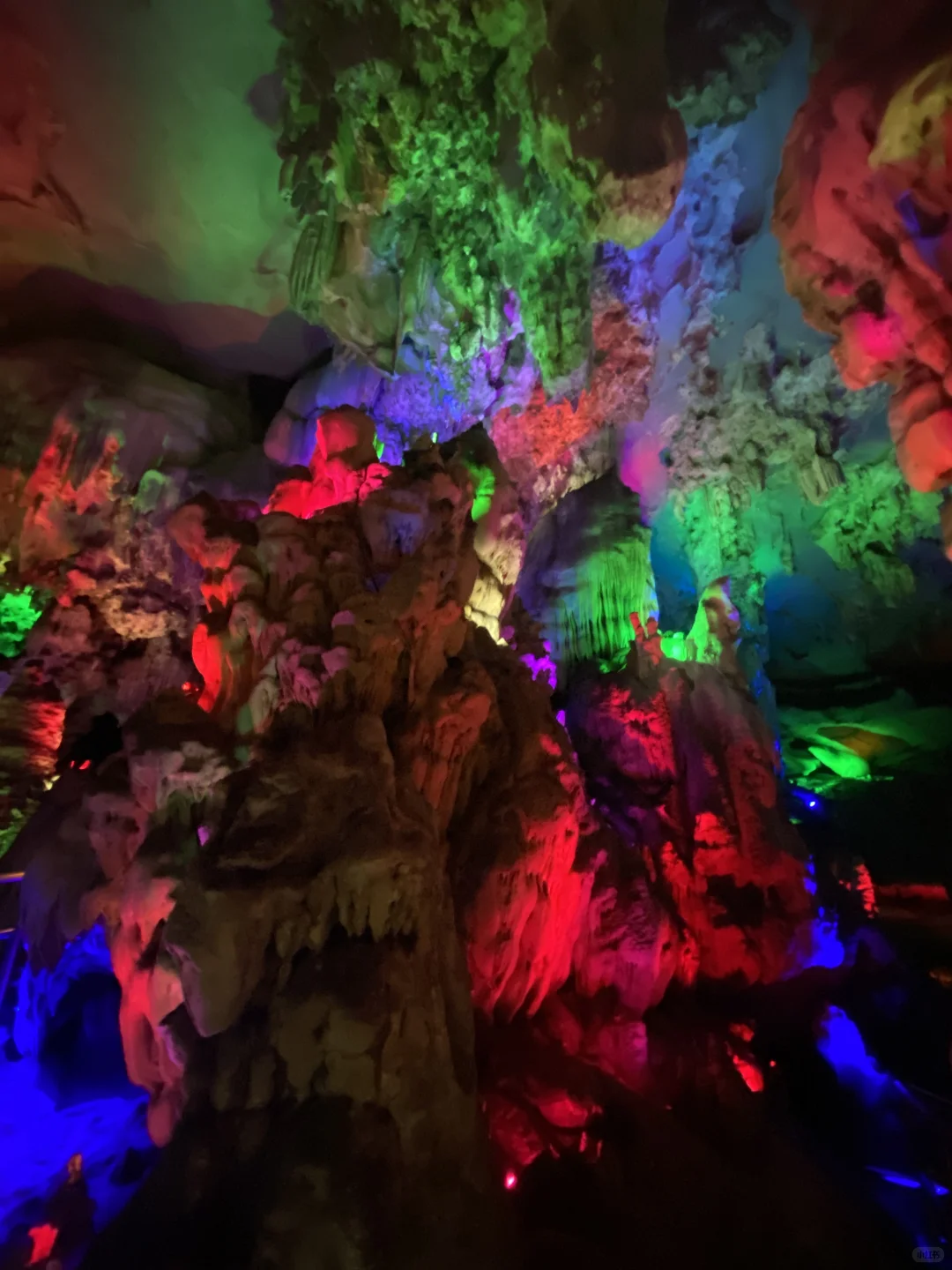 后劲太大❗️柳州居然藏了个全国No1博物馆