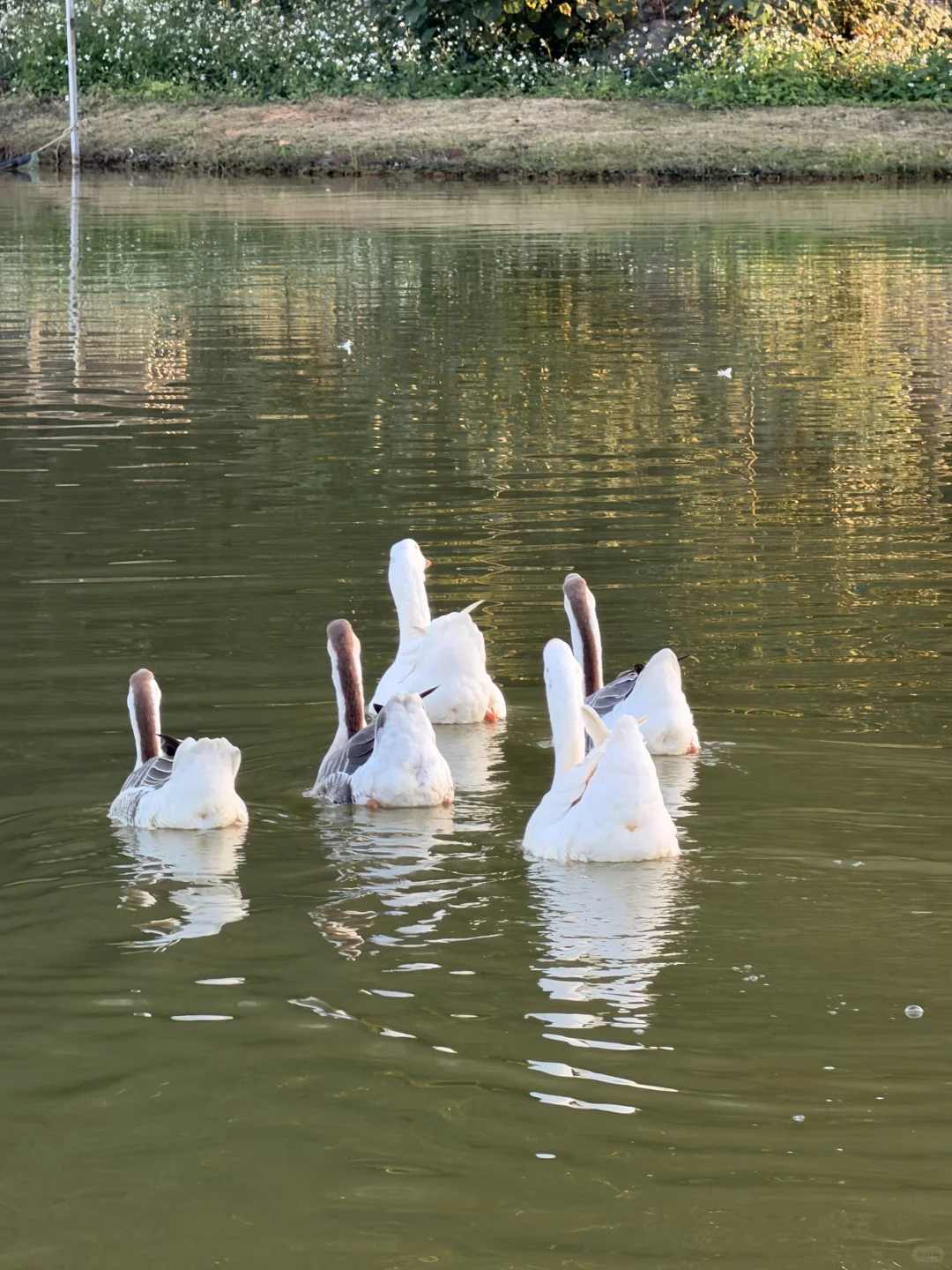 柳州的这里好chill！