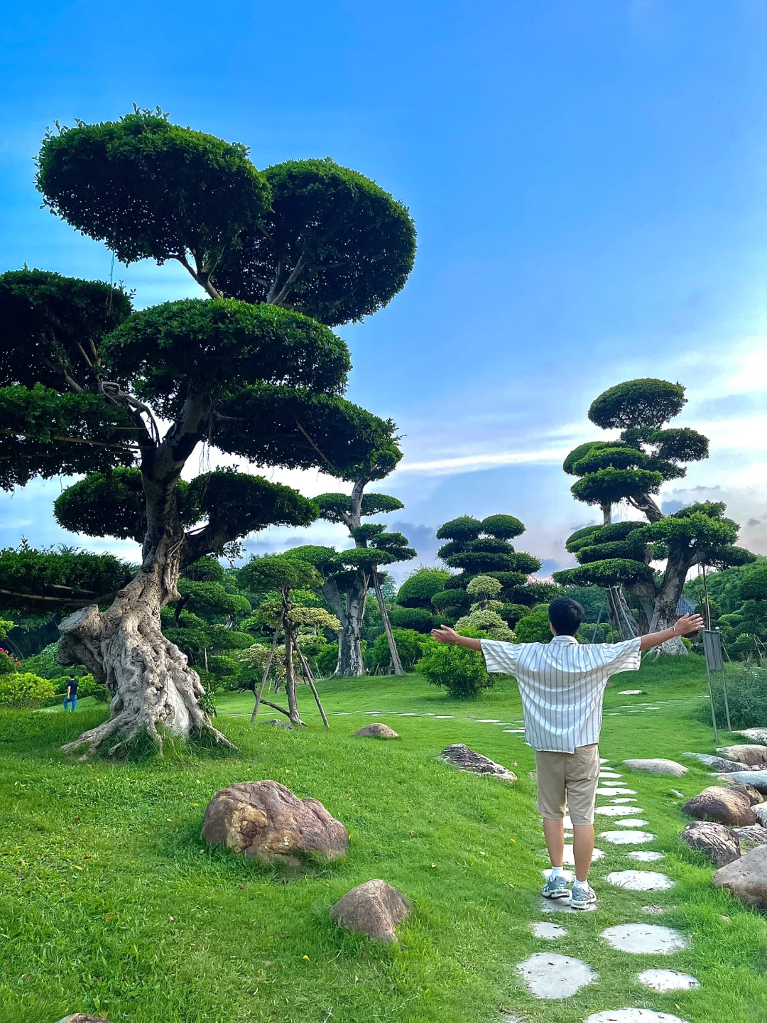 在南宁！这是什么神仙地方⁉️美到窒息🌳