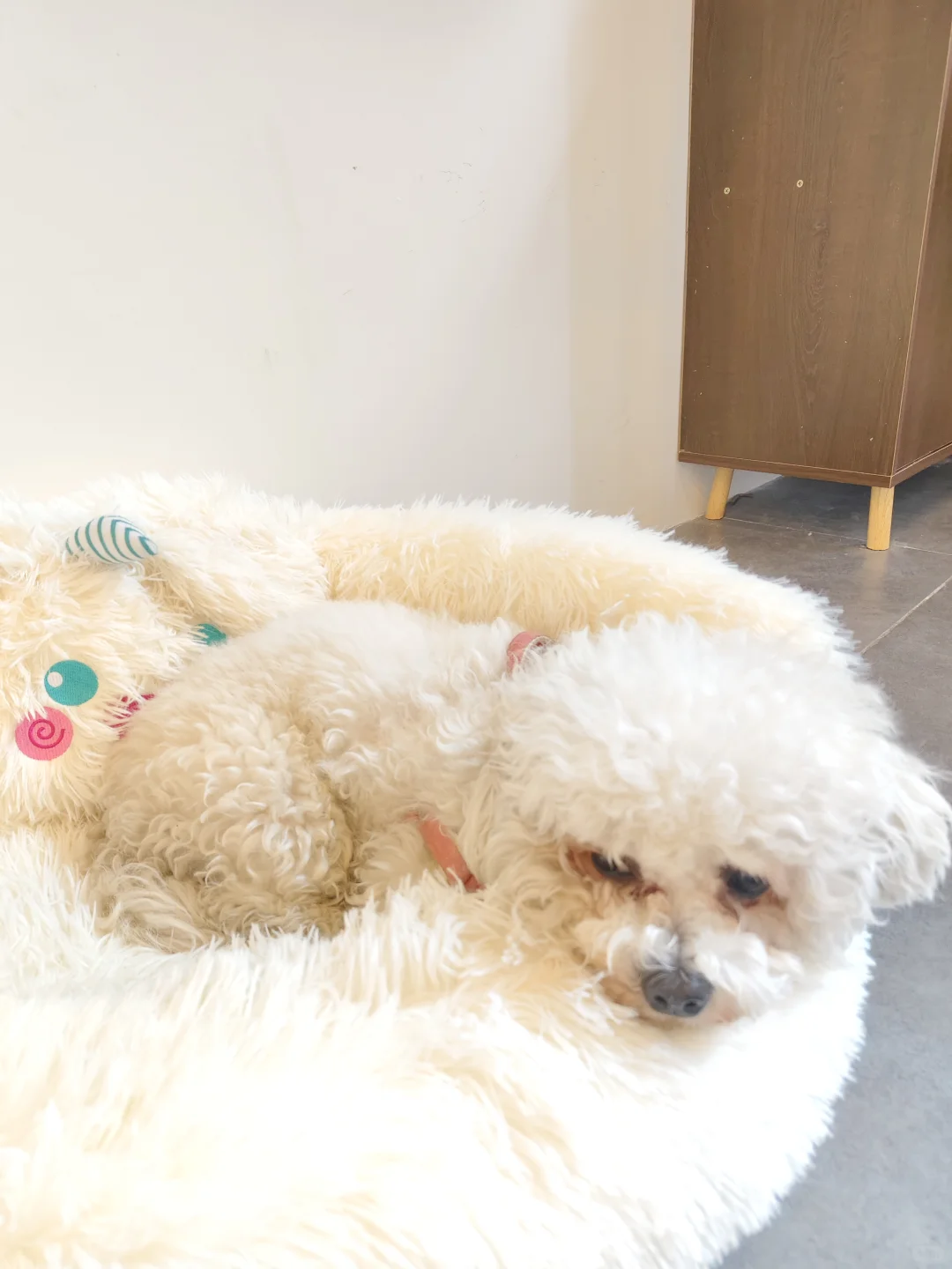 圣诞节来柳州玩有什么推荐吗？