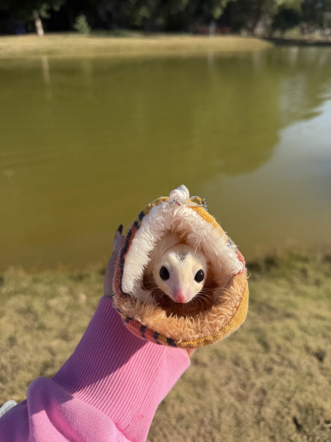 柳州的这里好chill！