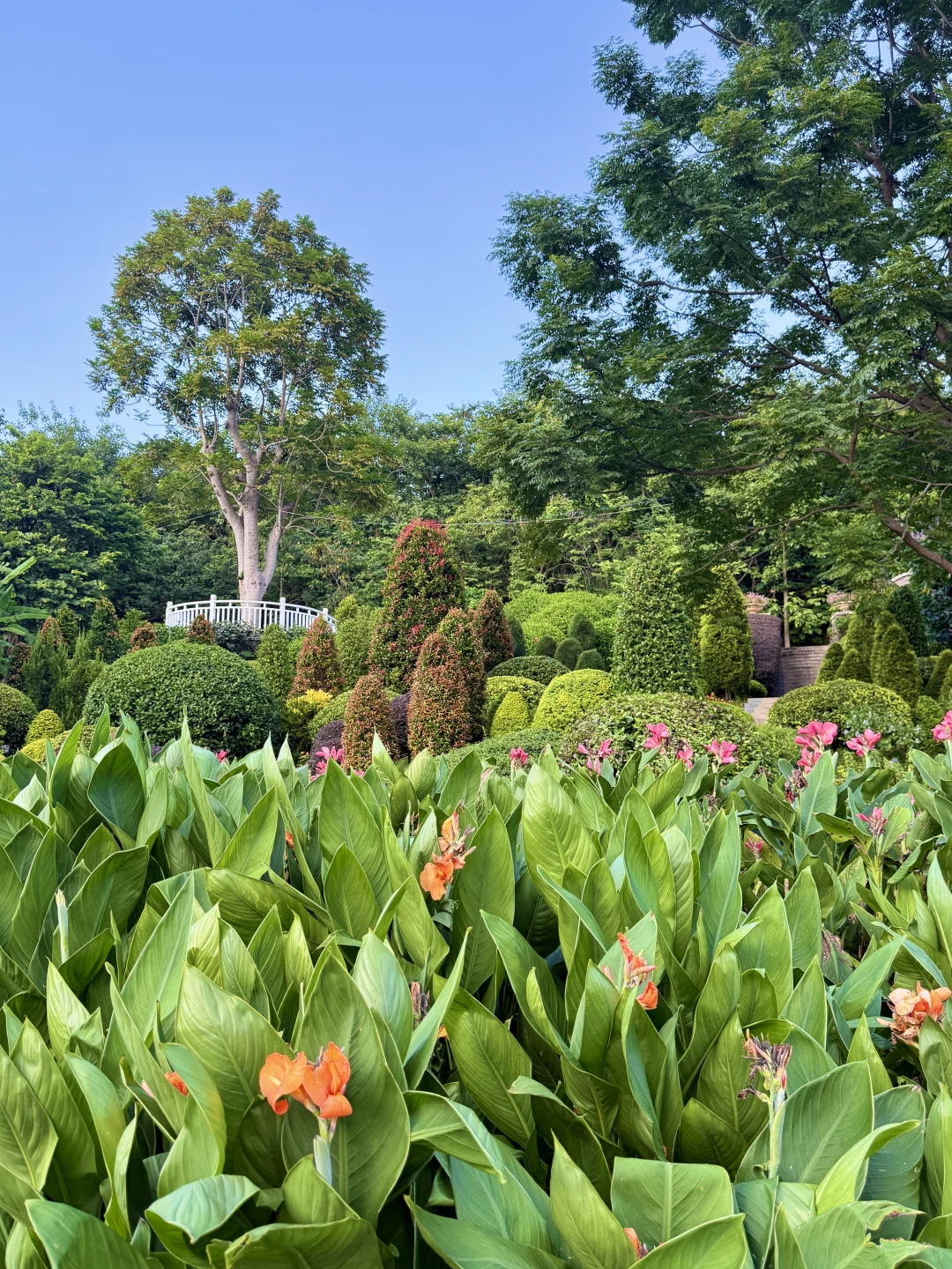 南宁青秀山4️⃣小时，不费脚！出片机位全攻略