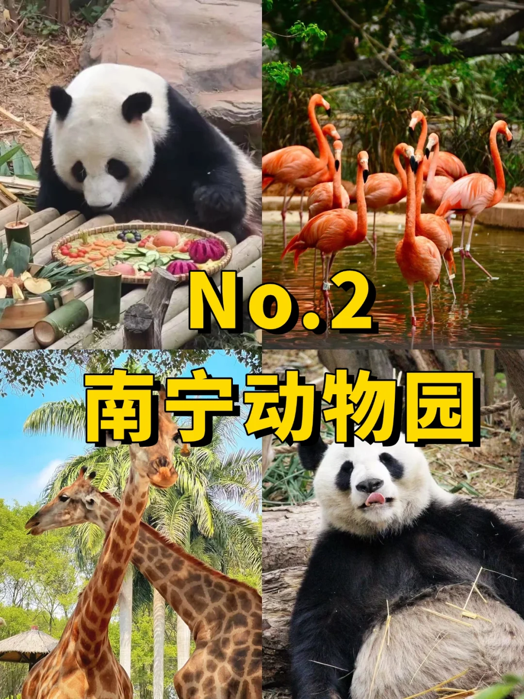 南宁十大必去打卡点❗️你去过几个？