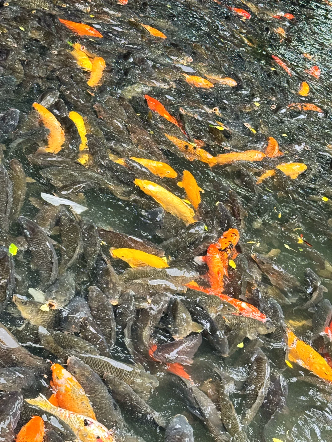 📍柳州48小时｜好逛 好拍还有那么多美食攻略