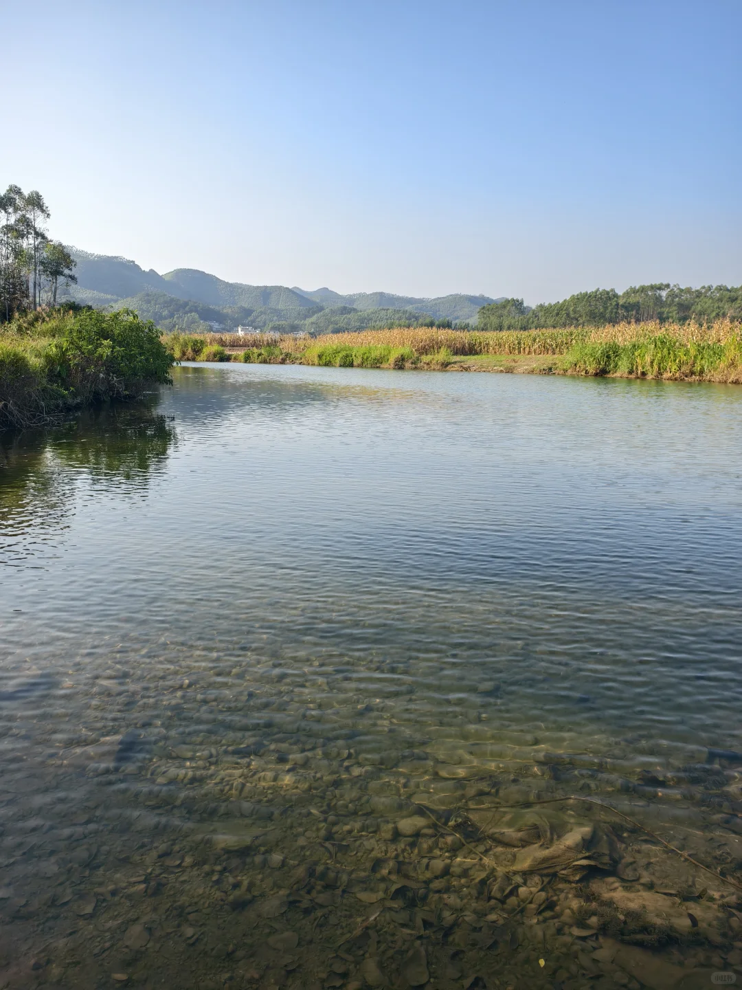 南宁大明山露营