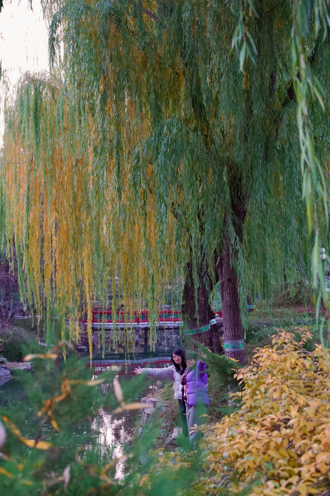 南宁周末两天赏秋攻略🍁看着一篇就够啦‼️