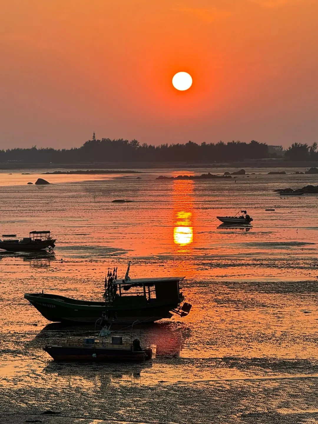 放弃北海了，去钦州+防城港看粉色海豚🐬