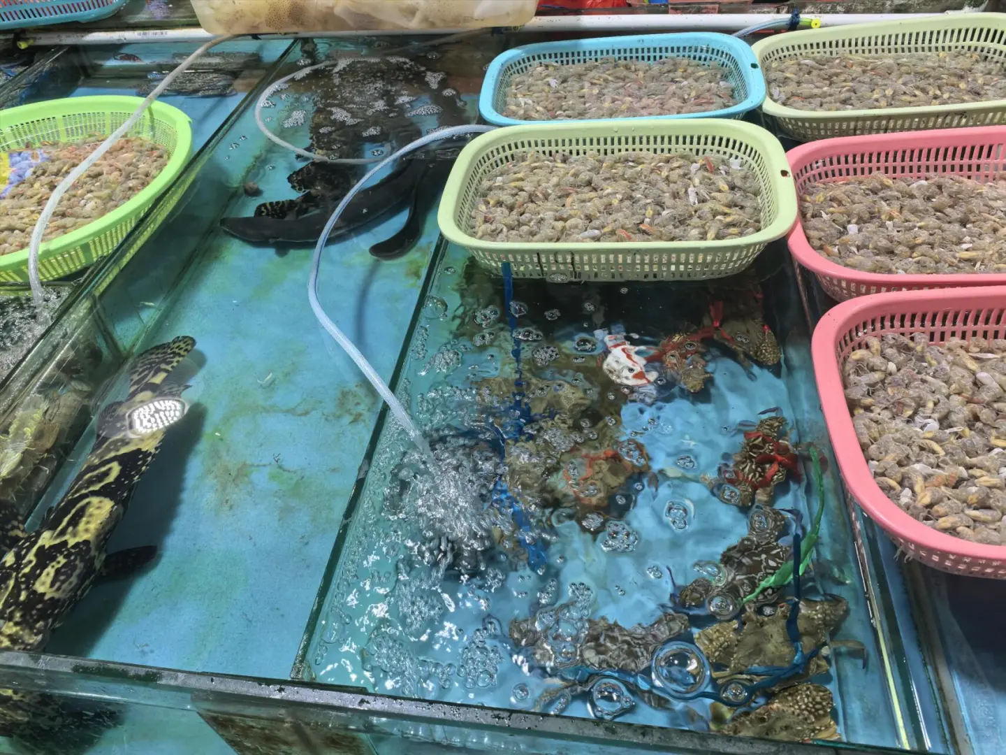 防城港攻略只有海鲜最值