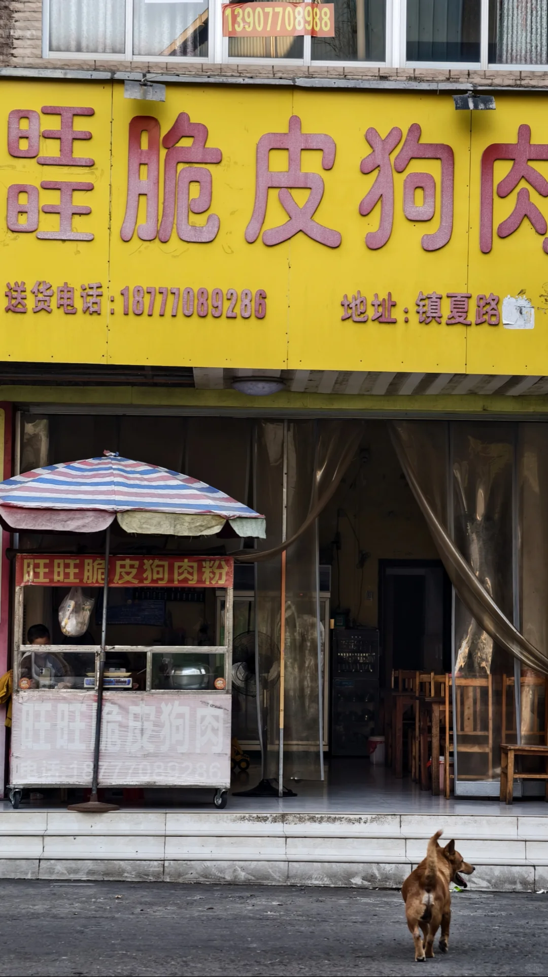 防城港丨边境小城的老街与大海