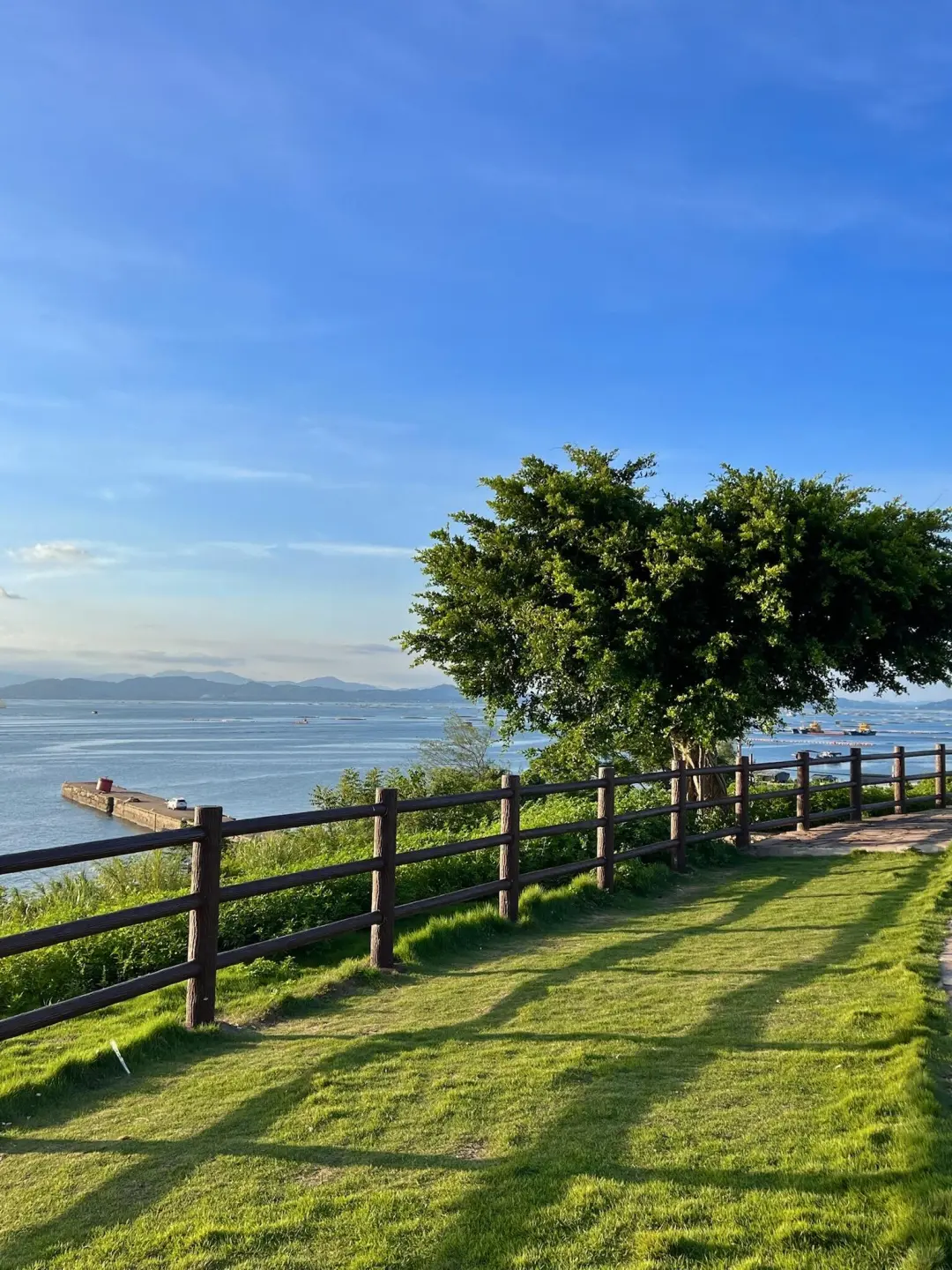 放弃北海了，去钦州+防城港看粉色海豚🐬