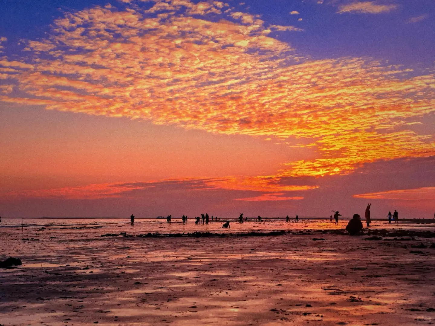 防城港攻略只有海鲜最值