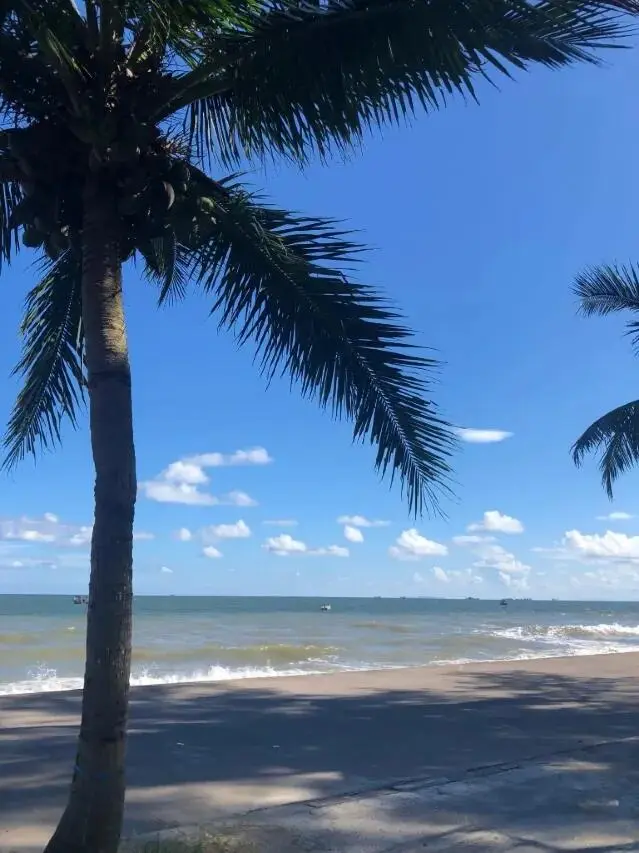 来防城港住我家吧！一周300😭（10.24后空）