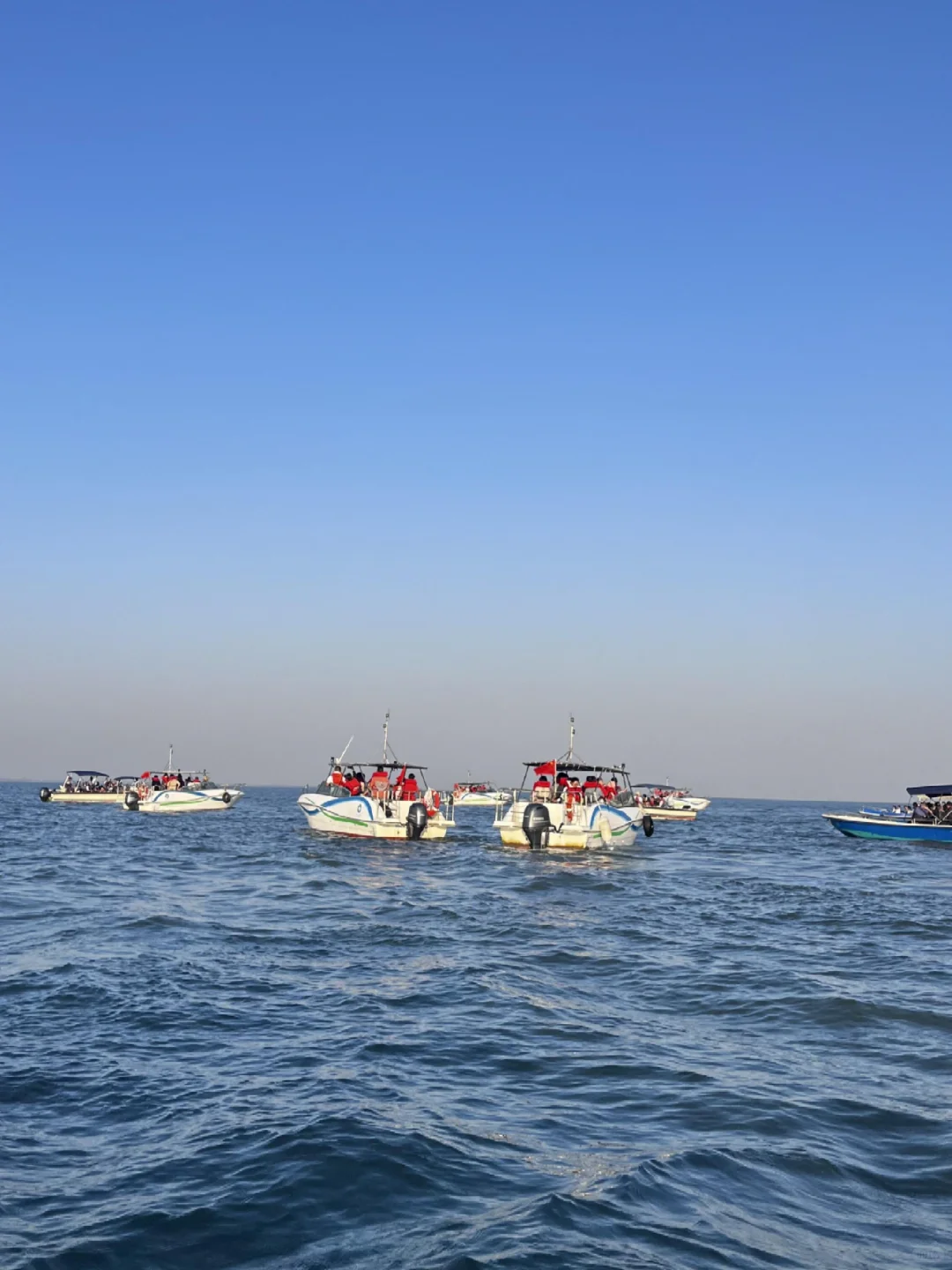 放弃北海了，去钦州+防城港看粉色海豚🐬