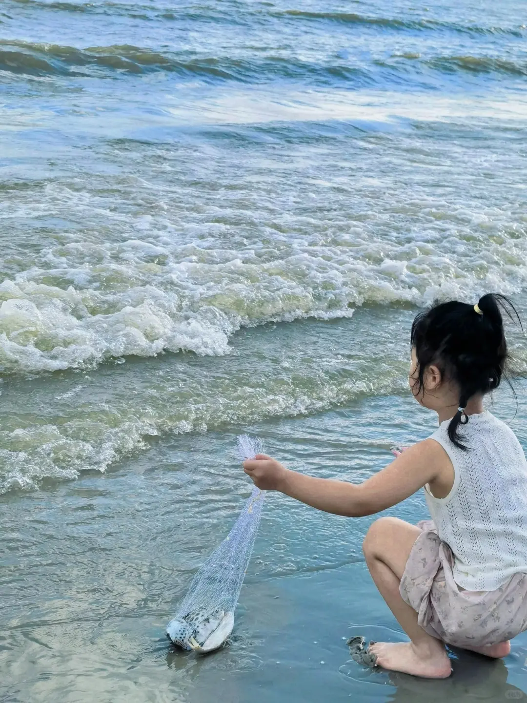 放弃北海了，去钦州+防城港看粉色海豚🐬