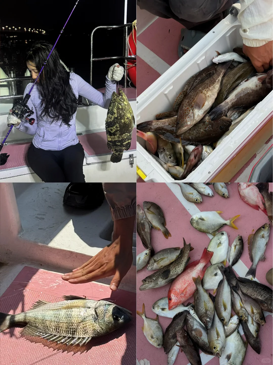 🎣总要海钓一次吧|广西防城港海钓全攻略