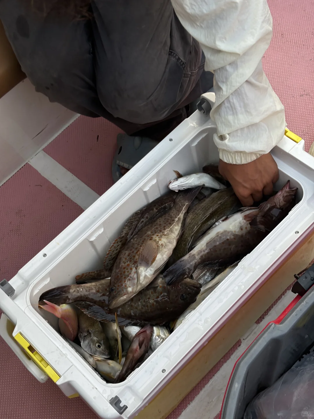 🎣总要海钓一次吧|广西防城港海钓全攻略