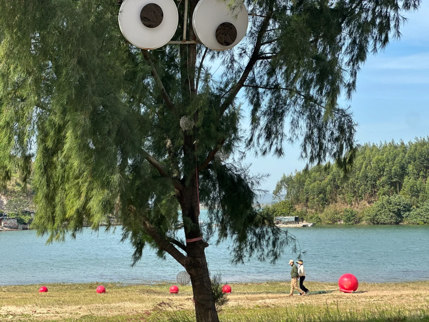 总要来一次防城港吧