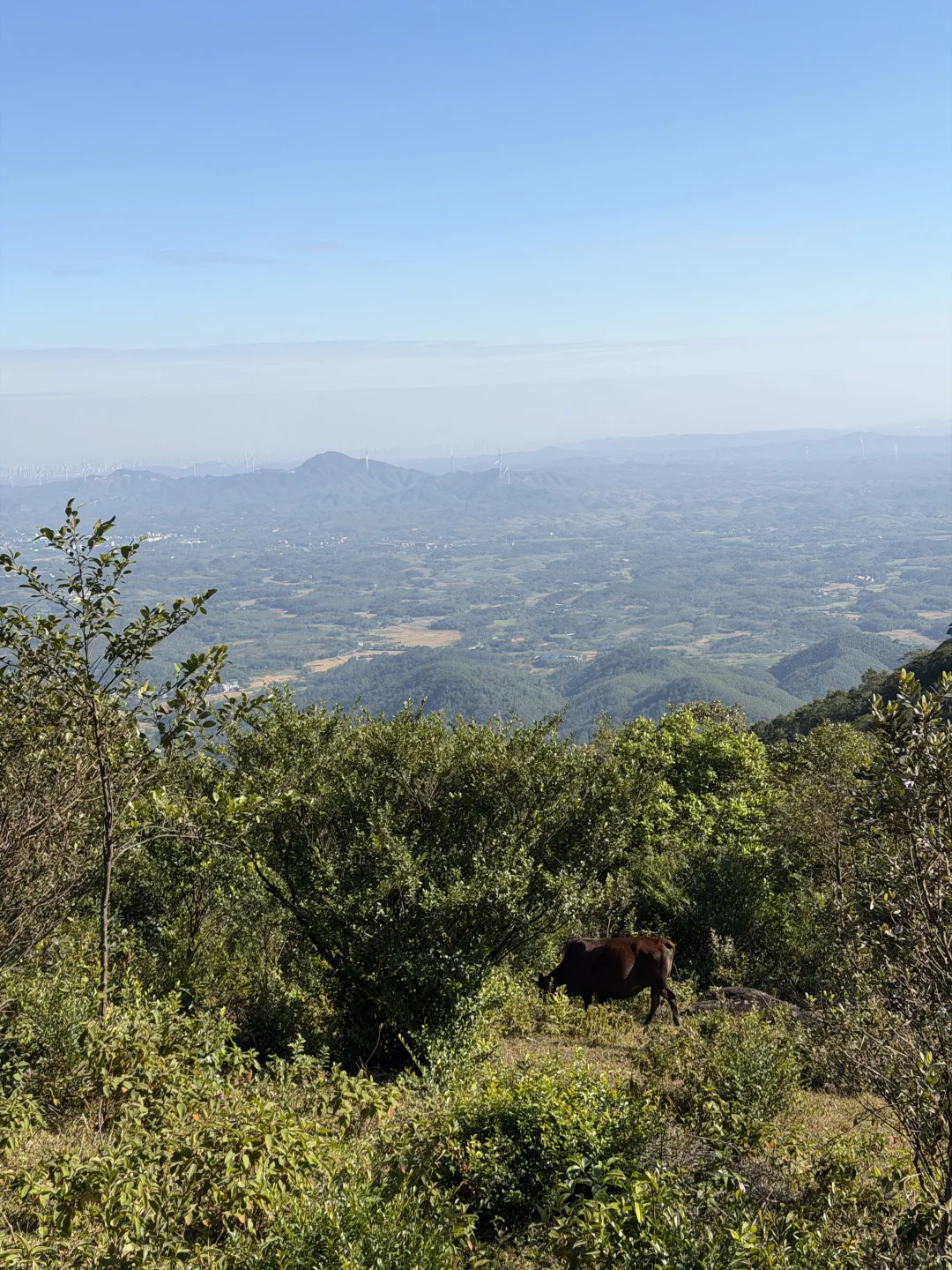 防城港·望州顶记