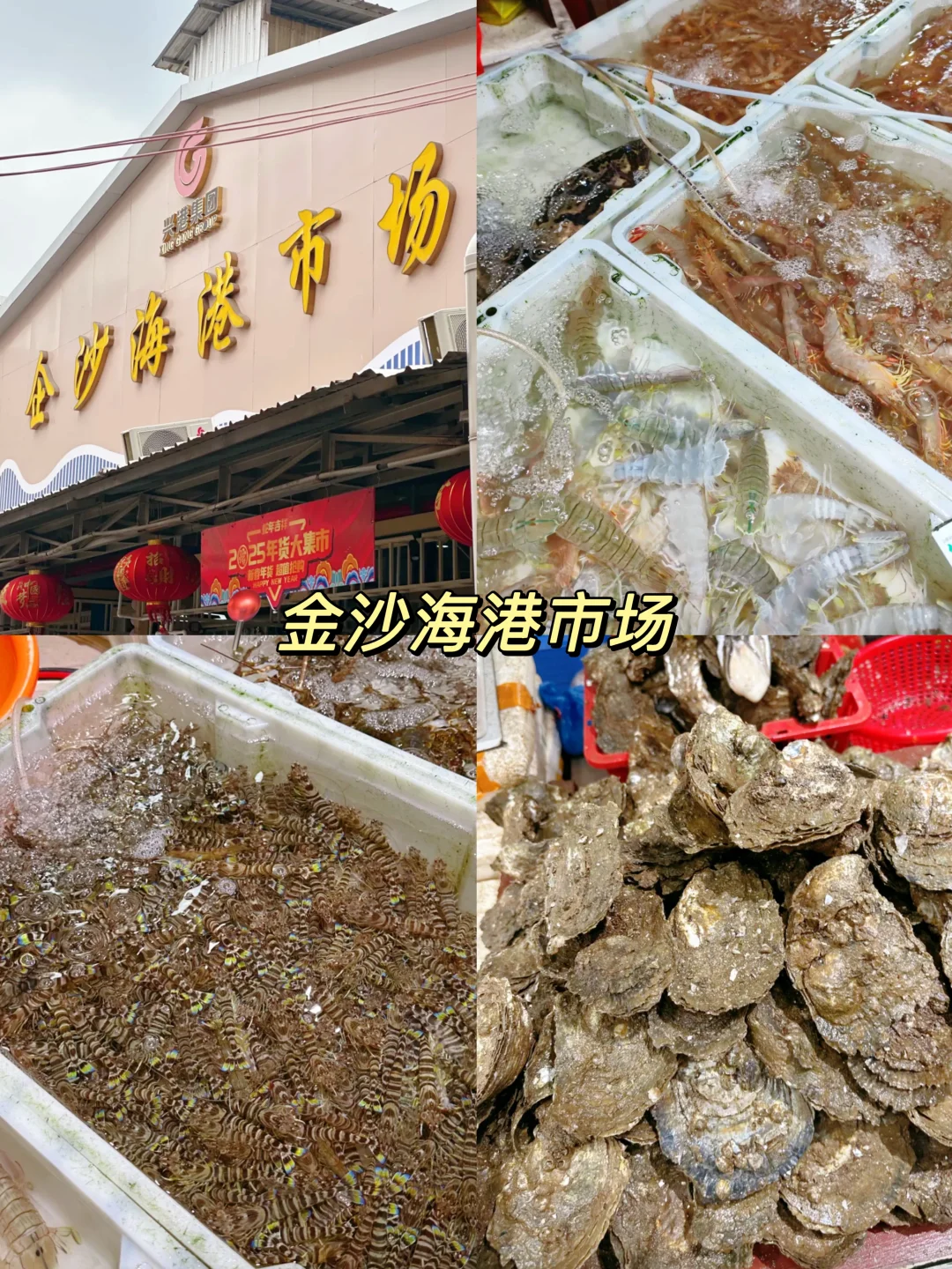 广西冷门海边小城—防城港，后悔没早去