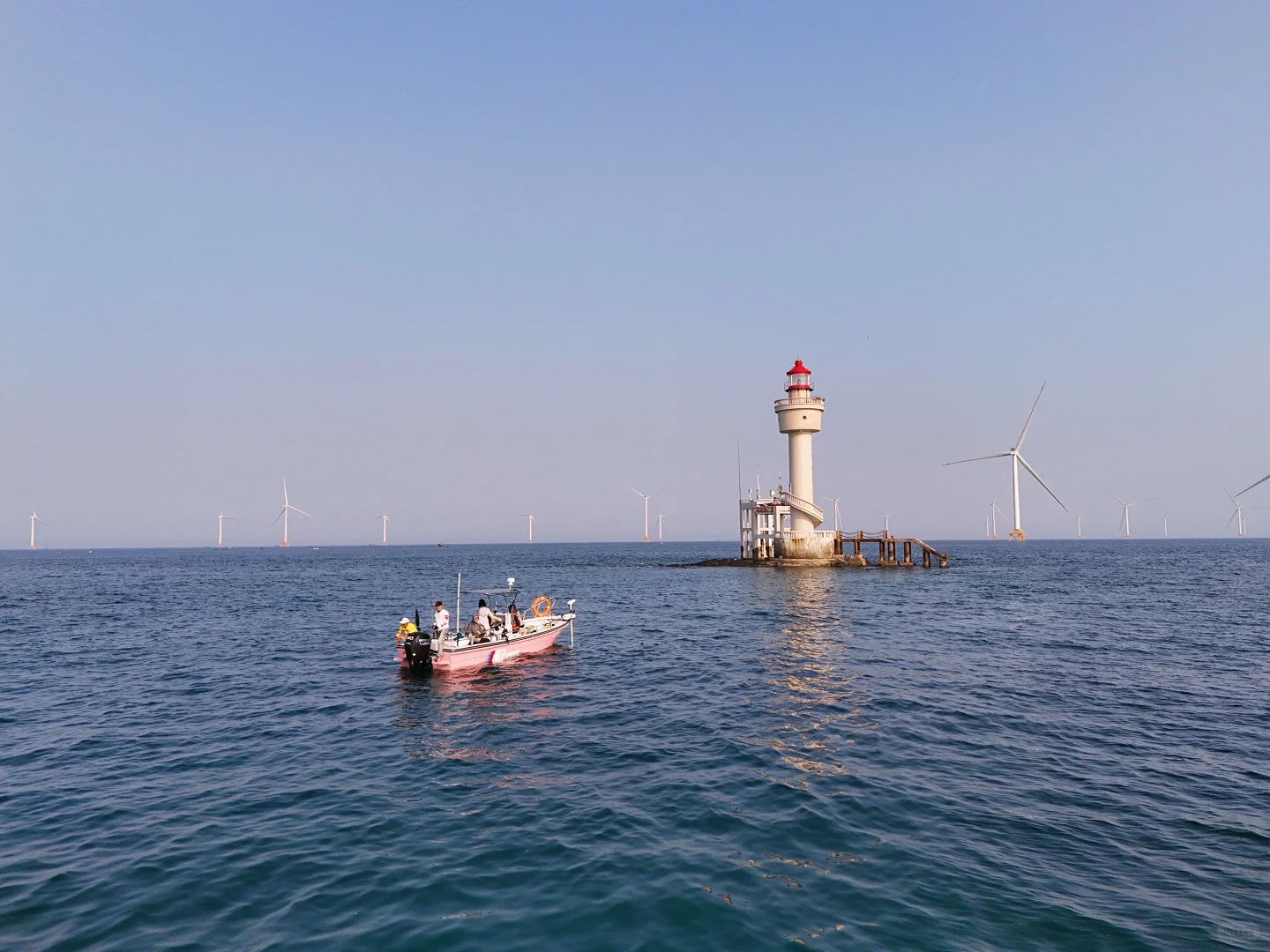 防城港风车塔海钓🎣人均三百起解锁深海渔获