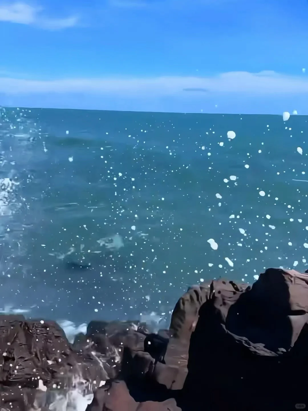 来防城港住我家吧！138俩人😭（11.13后空）