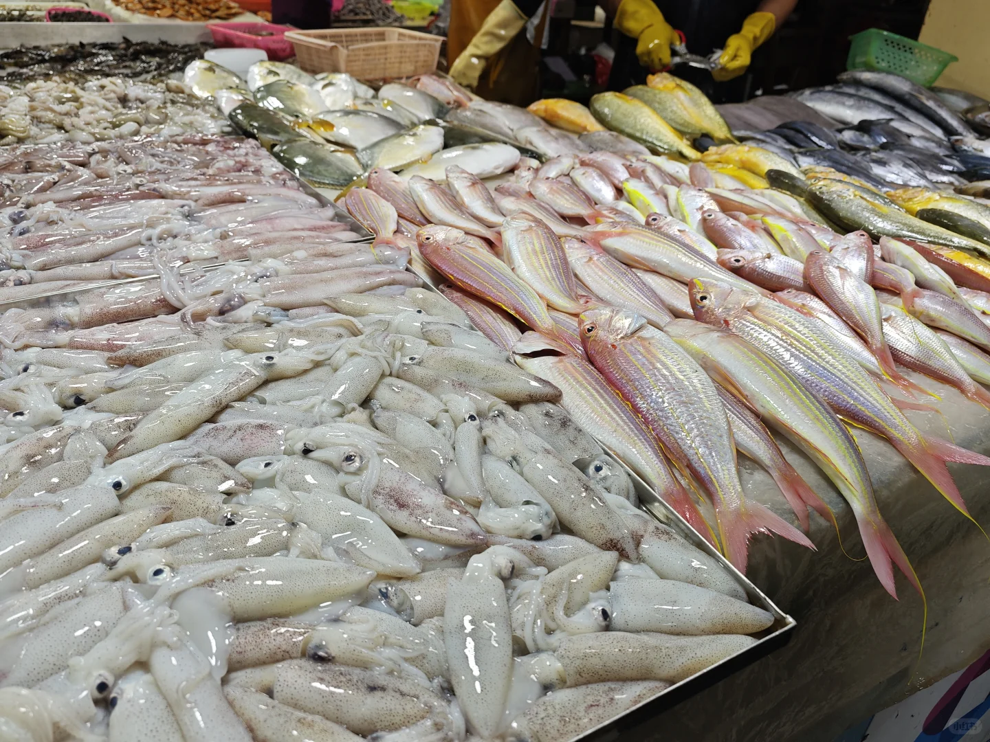 防城港不黑不吹，来之前看看我的真实感受吧