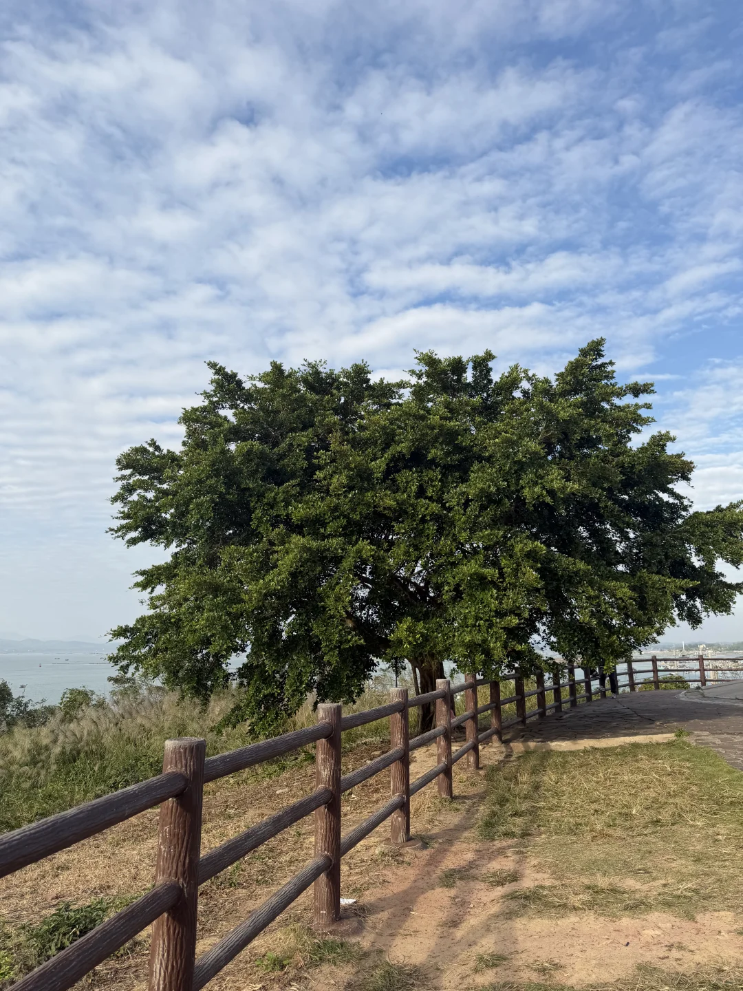 不在北海 在防城港！