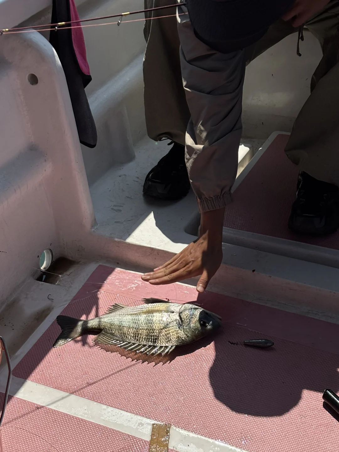 🎣总要海钓一次吧|广西防城港海钓全攻略