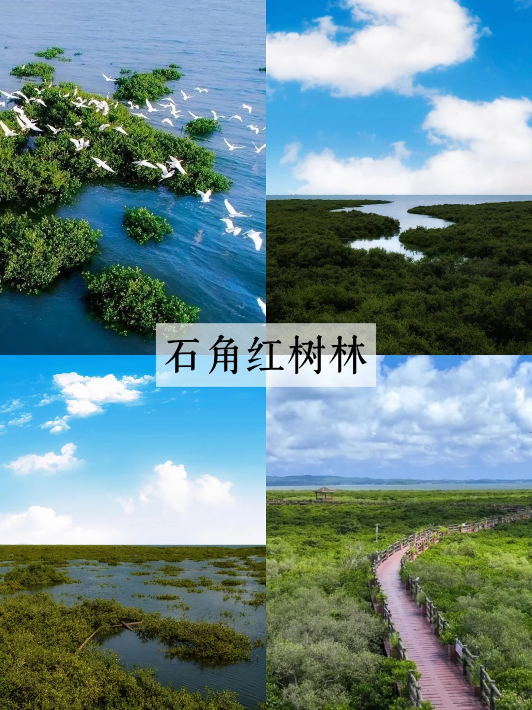 这个冬天，带家人去防城港钦州过暖冬！