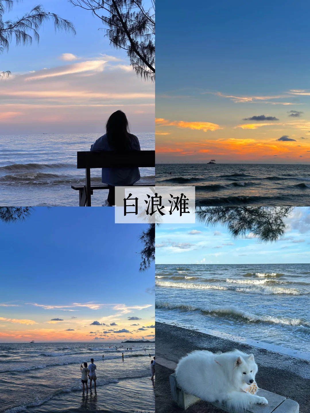 这个冬天，带家人去防城港钦州过暖冬！