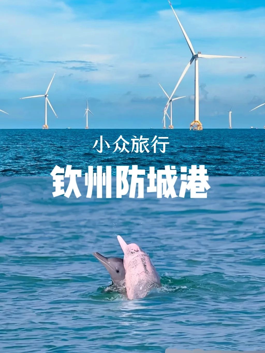 这个冬天，带家人去防城港钦州过暖冬！