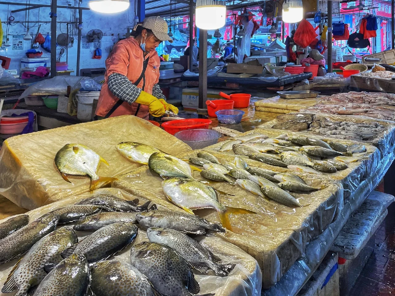 什么是防城港 | 守望北部湾的海港之城