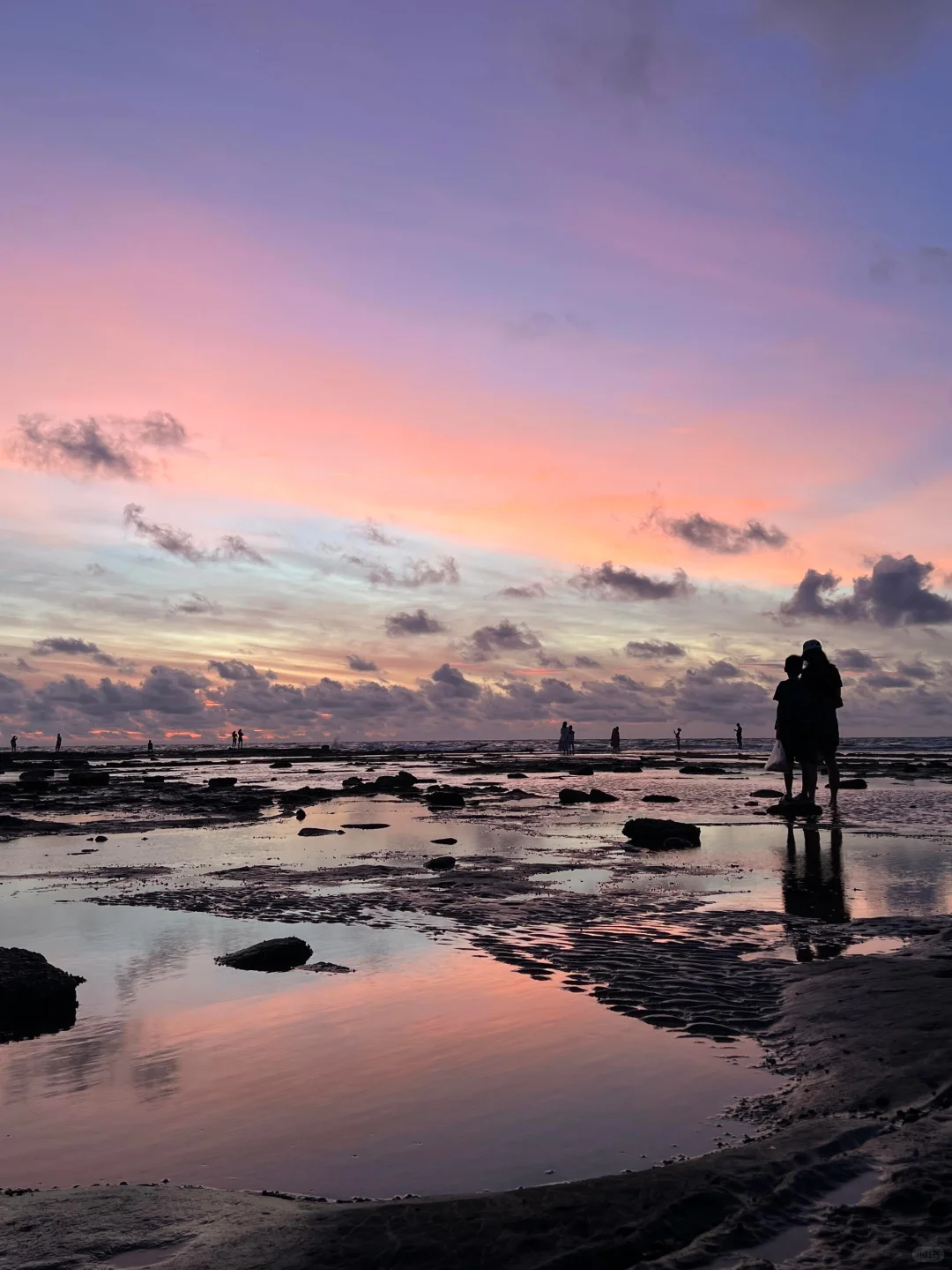 带娃赶海追粉海豚🐬娃玩的不想回家😂