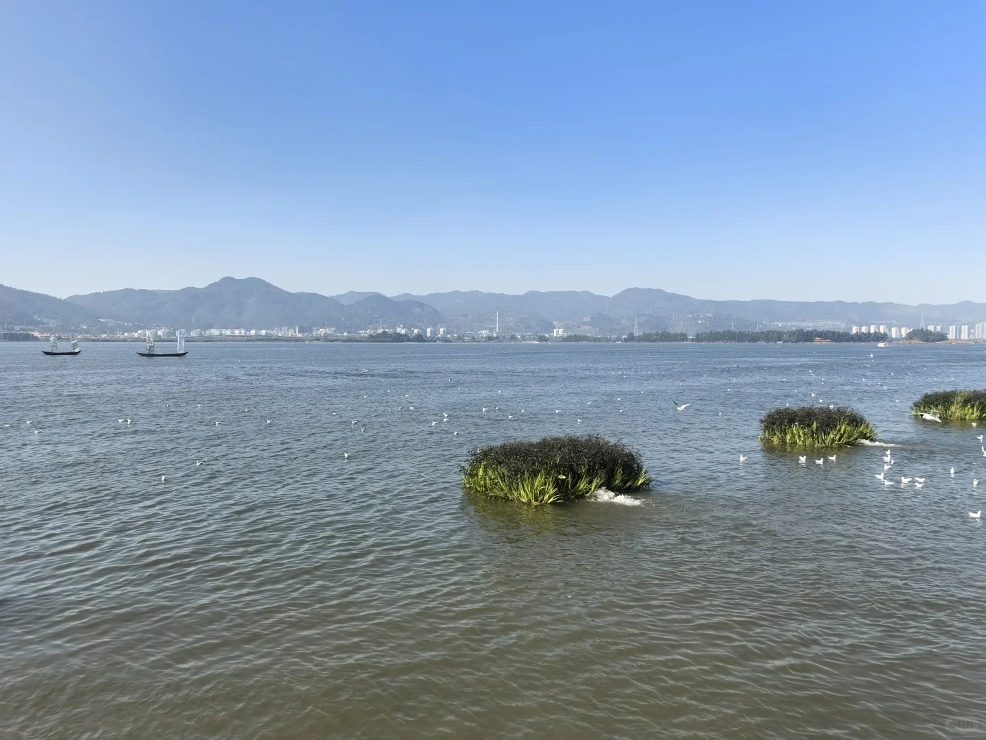 穿着申花跑马-出发！上合昆明