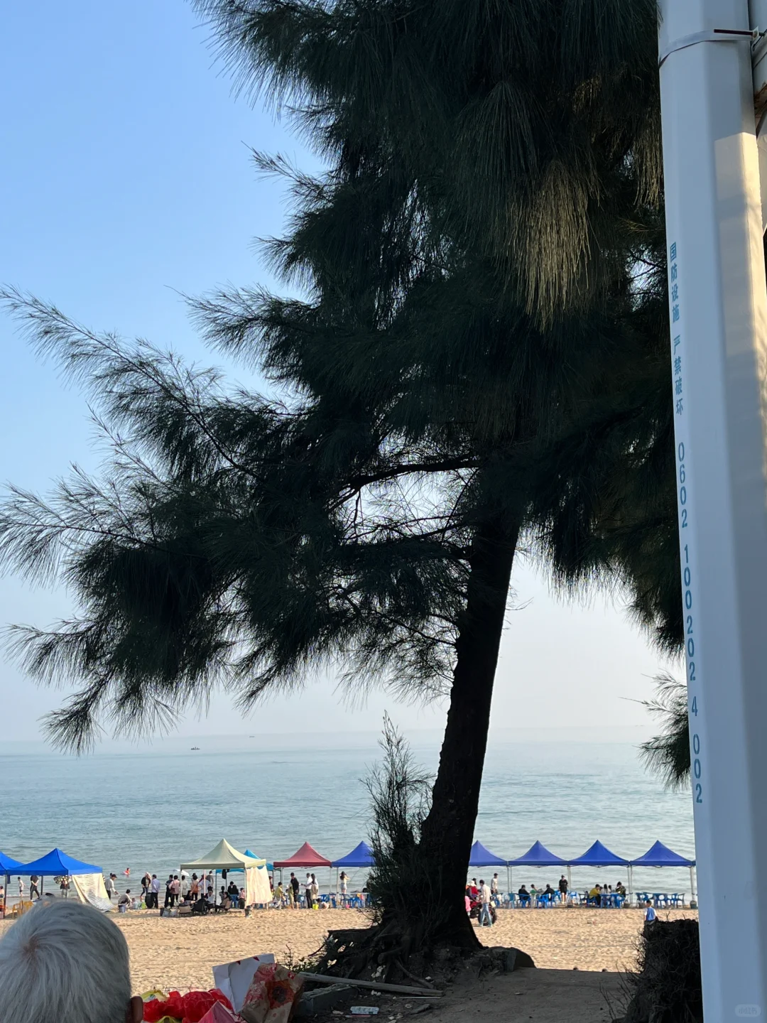 南宁🚗防城港 2️⃣日游！人均2️⃣0️⃣0️⃣攻略