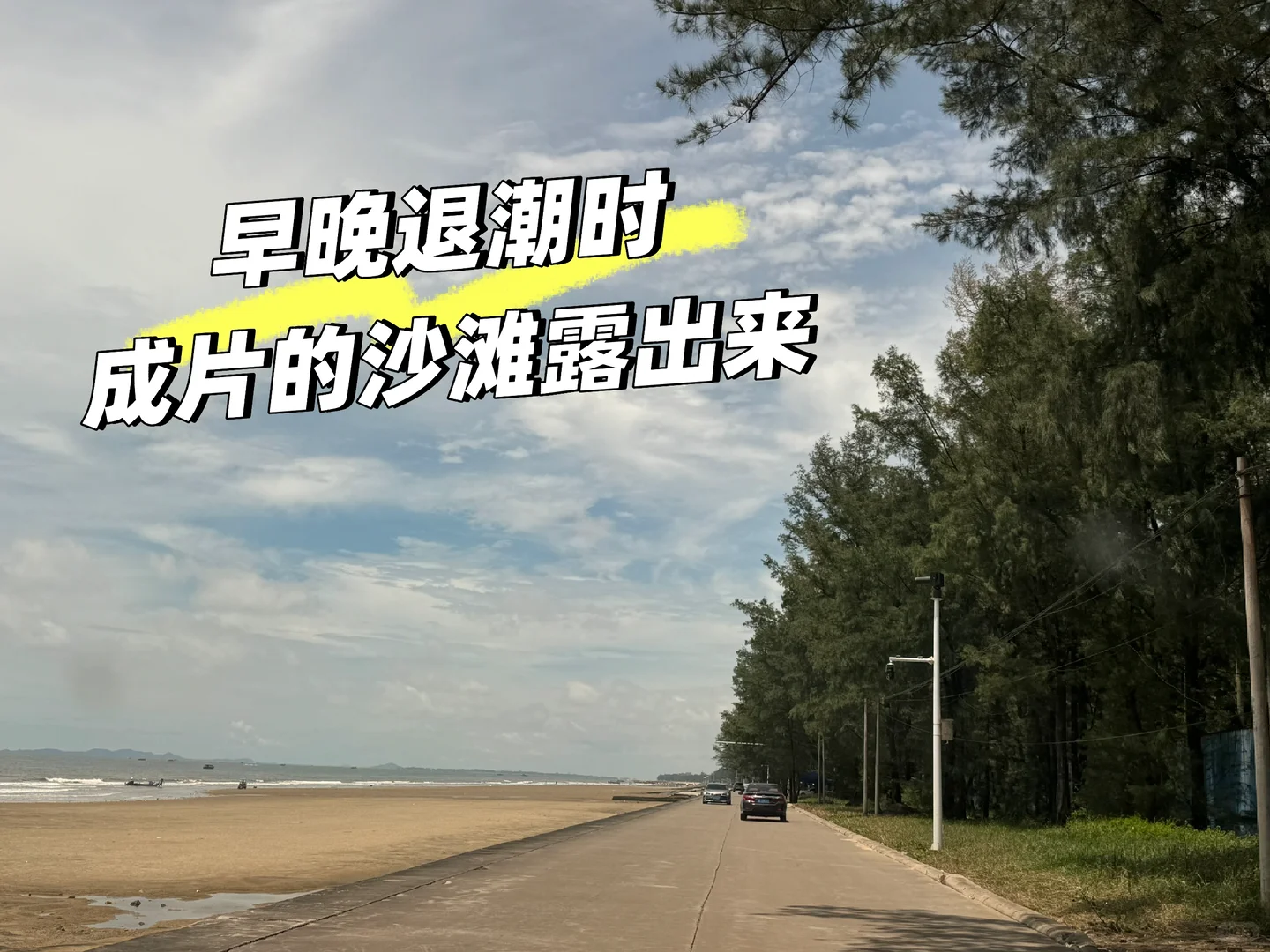 防城港贝壳自由！（附位置）