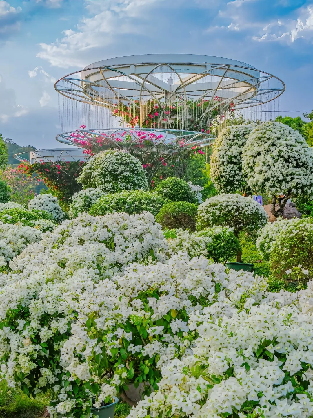 带娃赶海追粉海豚🐬娃玩的不想回家😂