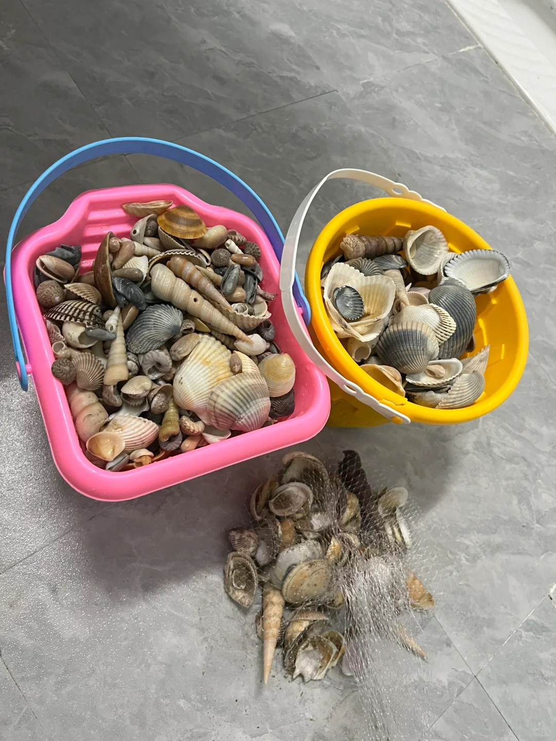 防城港捡贝壳🐚捡到腰直不起来🤪