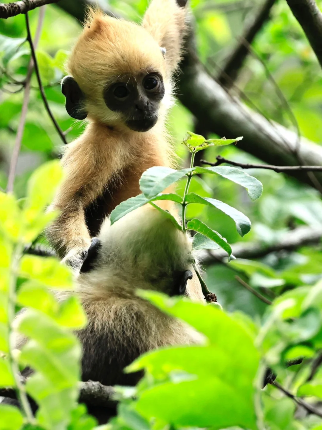 带娃赶海追粉海豚🐬娃玩的不想回家😂