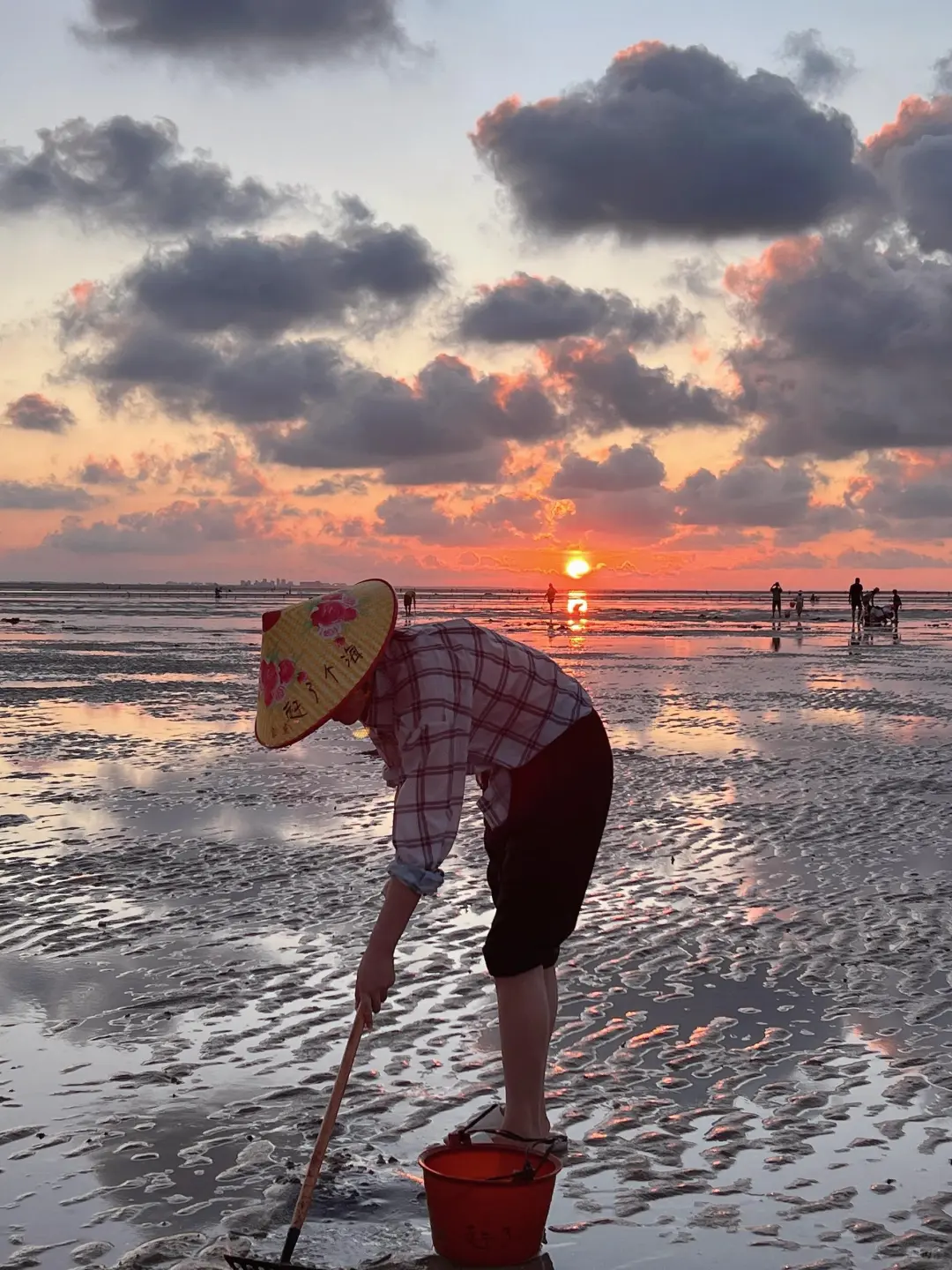 带娃赶海追粉海豚🐬娃玩的不想回家😂