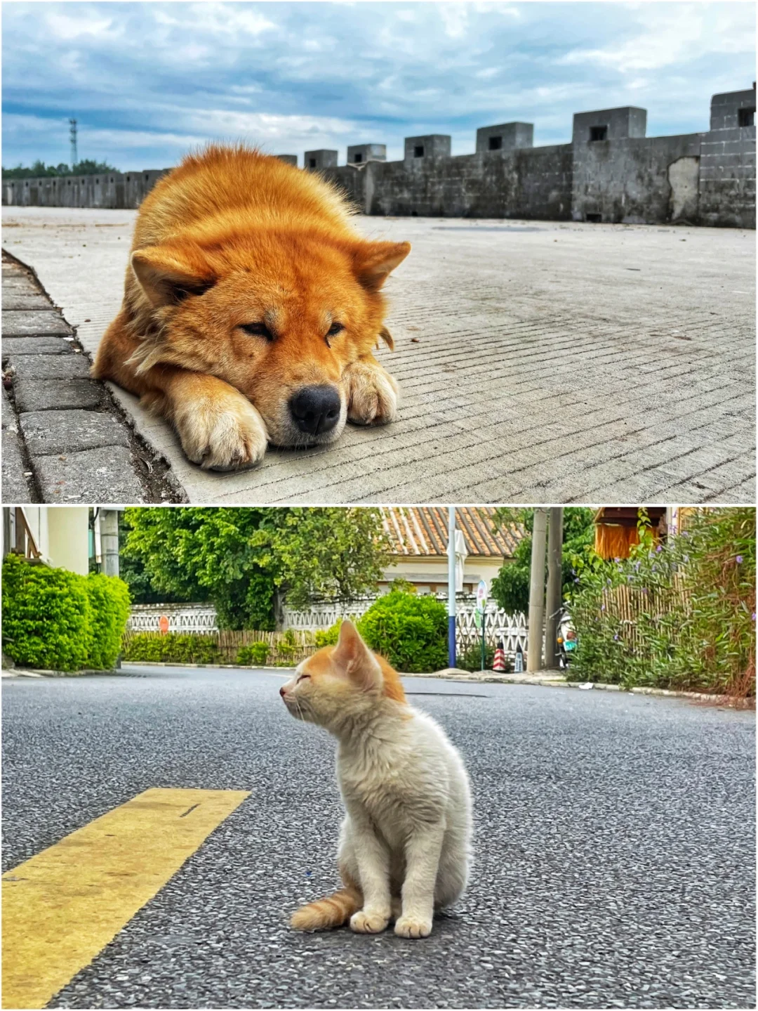 什么是防城港 | 守望北部湾的海港之城