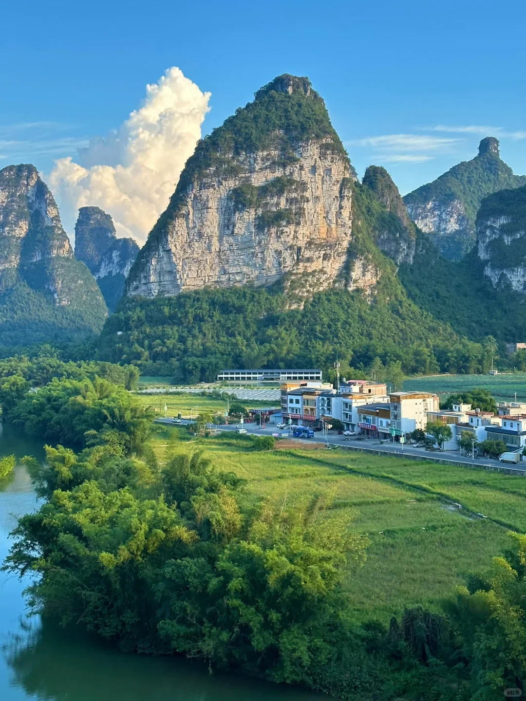 带娃赶海追粉海豚🐬娃玩的不想回家😂